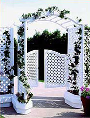Click for details and options