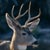 Deer Fence