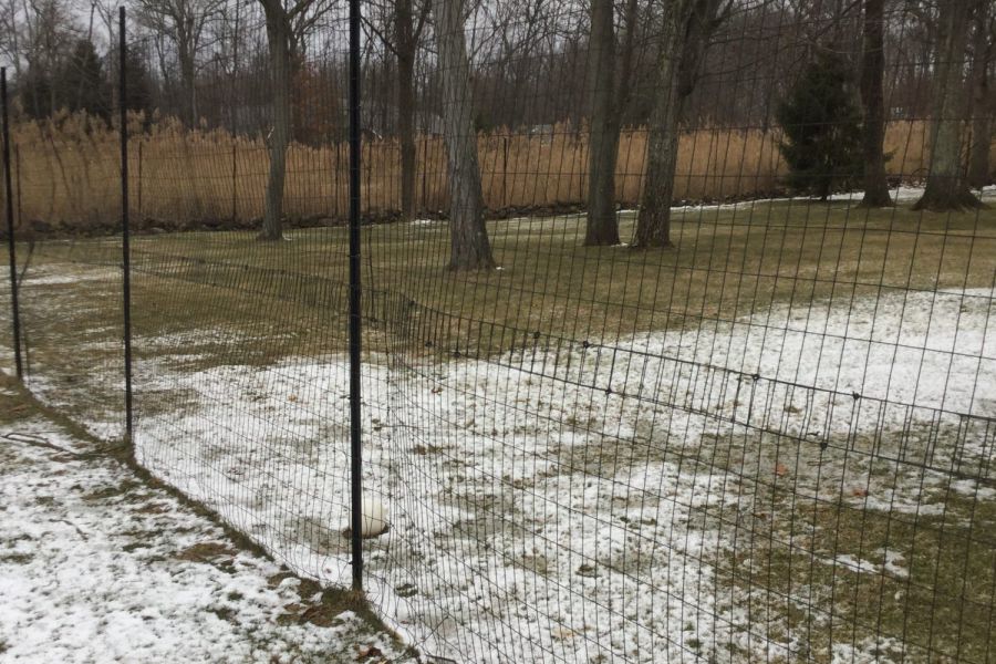 Deer Fences NJ Fence Installation