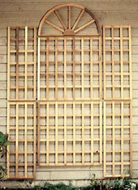 Grand Winchester Wall Trellis