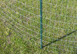 Knock In Posts for Welded Wire Fence