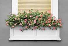 36in Fairfield Window Box