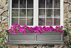 60in Fairfield Window Box